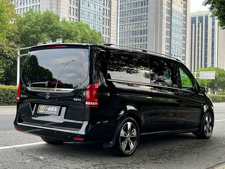 Mercedes-Benz V-Class 2022 2022款 V 260 L 长轴距尊贵版