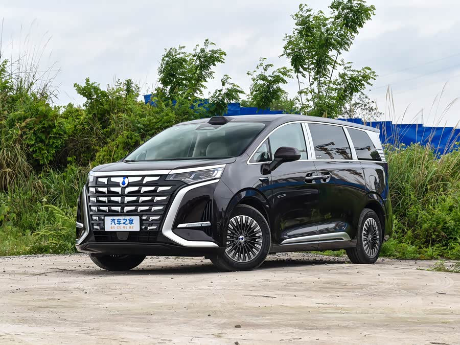 2026 Denza D9