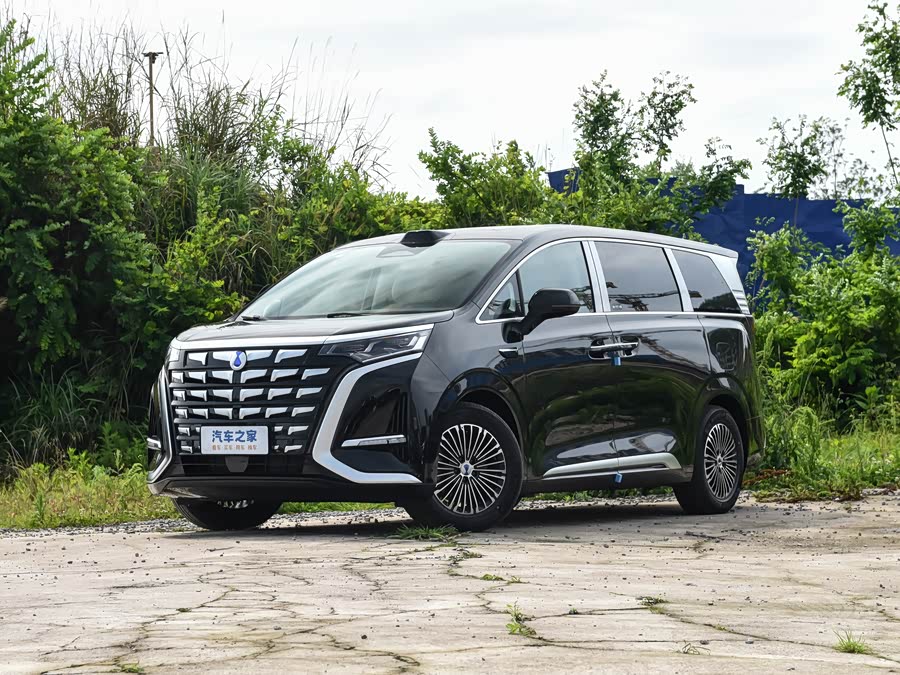 2026 Denza D9