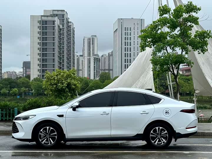 Фото 3 - BYD Qin Plus