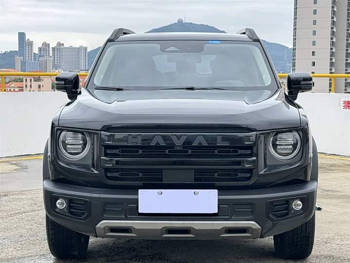 Фото 3 - Haval Dargo