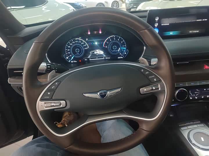 Genesis G80 2021 2021款 2.5T 四驱旗舰版