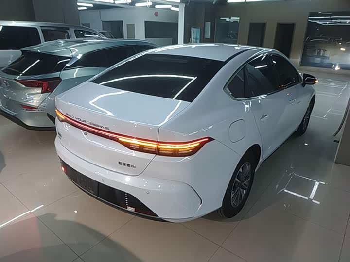 BYD Destroyer 05 2024 2024款 荣耀版 DM-i 55KM 豪华型
