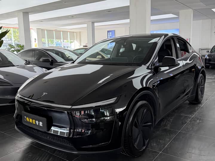 Tesla Model Y 2025 2025款 后轮驱动版