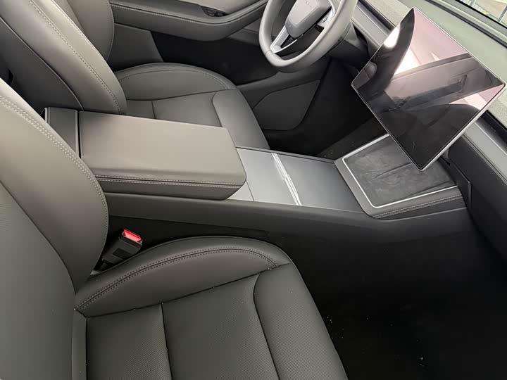 Tesla Model Y 2025 2025款 后轮驱动版