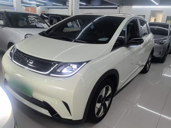 BYD Dolphin 2025 2025款 420km 自由版