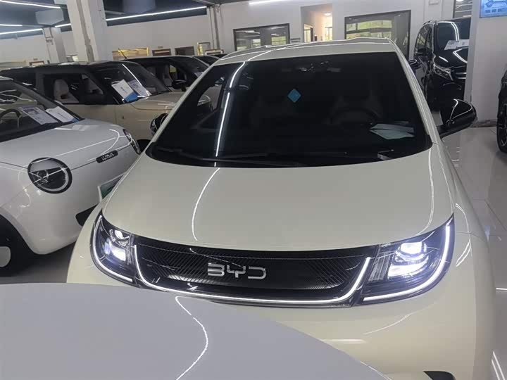 BYD Dolphin 2025 2025款 420km 自由版
