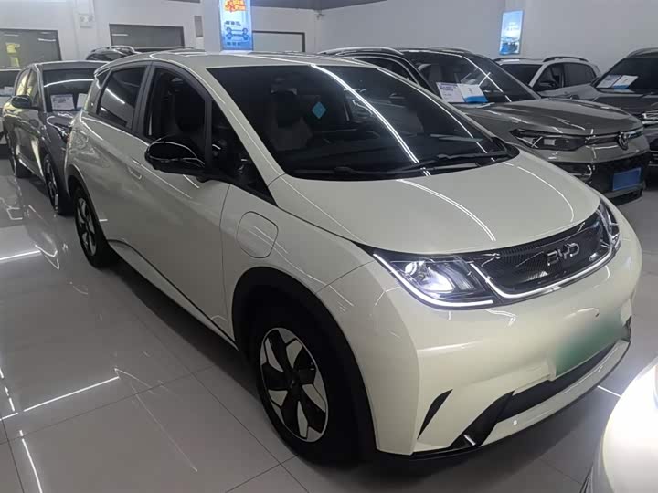 BYD Dolphin 2025 2025款 420km 自由版