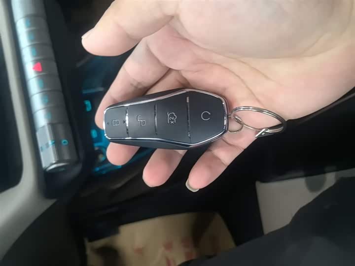 BYD Dolphin 2025 2025款 420km 自由版