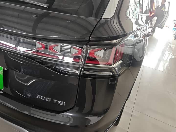 Volkswagen Tayron 2024 2024款 300TSI 两驱豪华Plus进阶版