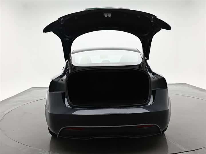 Tesla Model 3 2025 2025款 后轮驱动版