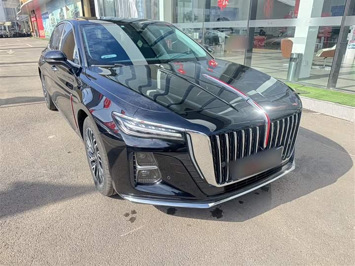 Фото 6 - Hongqi H5