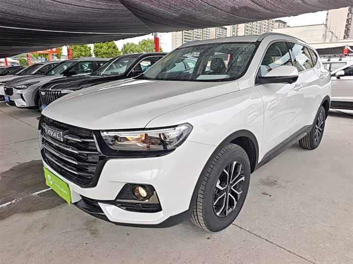 Haval H6 2025 2025款 1.5T 国潮都市版