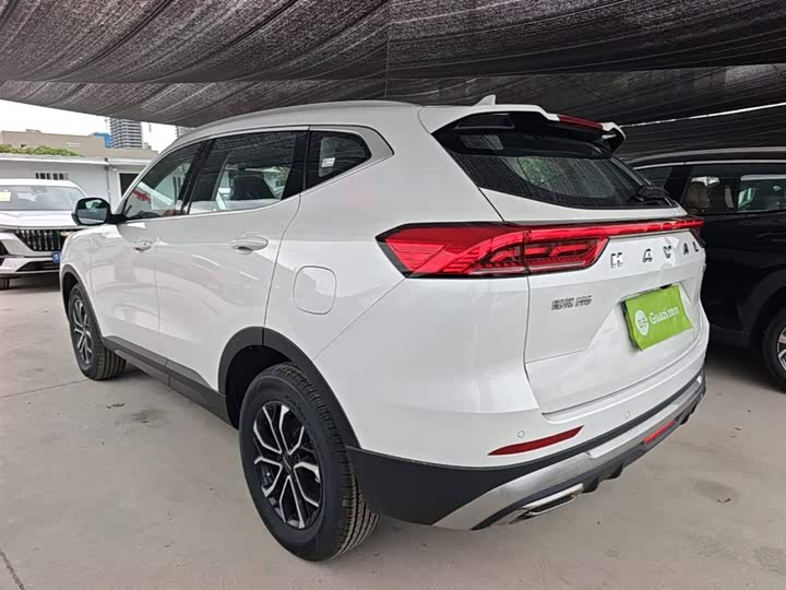 Haval H6 2025 2025款 1.5T 国潮都市版