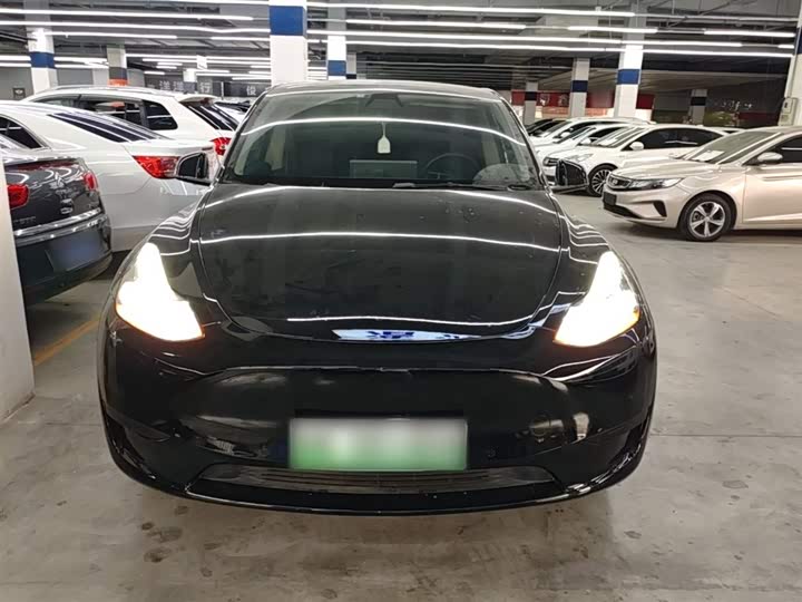 Tesla Model Y 2022 2022款 后轮驱动版