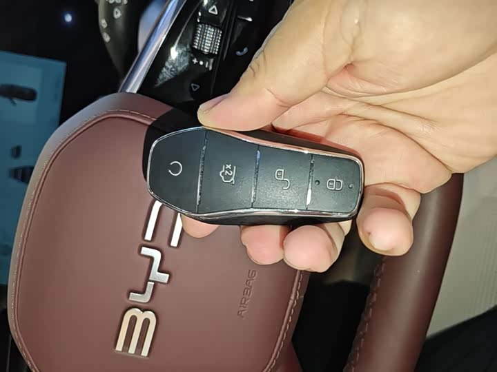 BYD Seal 07 DM-i Hybrid 2025 2025款 DM-i 1.5L 125km 尊贵型
