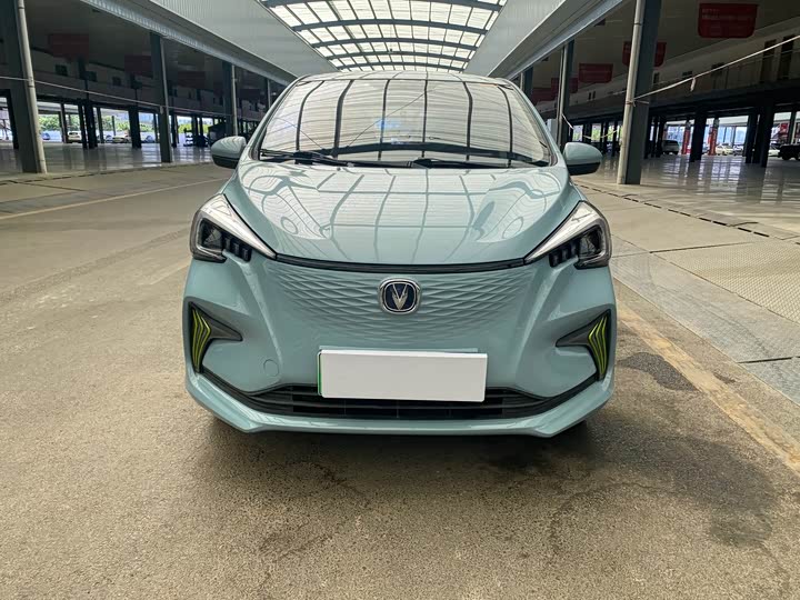 Changan BenBen E-Star 2022 2022款 清心版 多彩款 三元锂