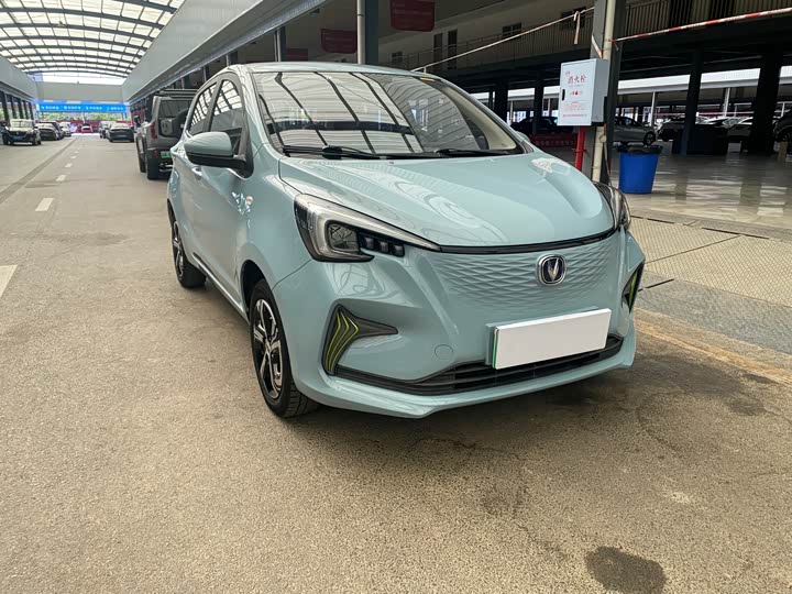 Changan BenBen E-Star 2022 2022款 清心版 多彩款 三元锂