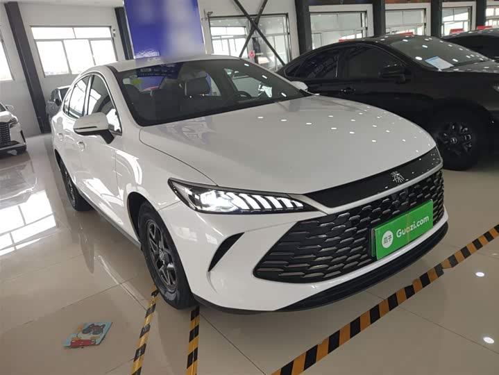 Фото 4 - BYD Qin Plus
