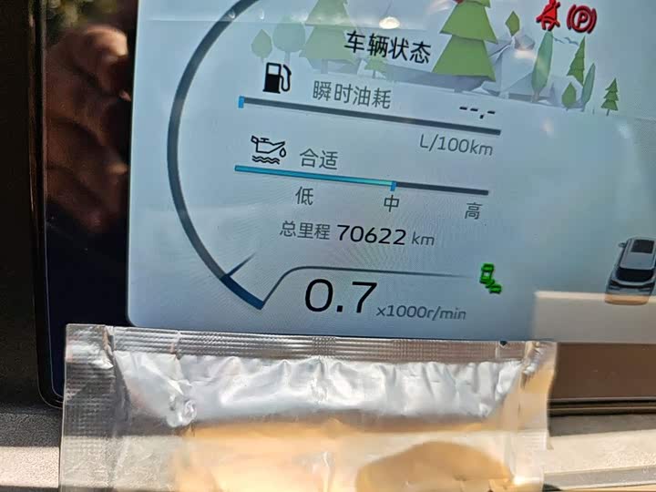 Geely Okavango L 2023 2023款 2.0T DCT旗舰型