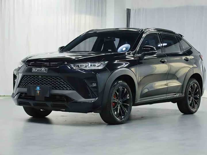 Haval H6S 2022 2022款 2.0T 两驱悦跑版