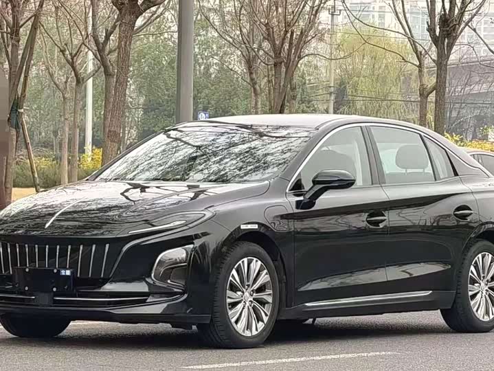 2025 Hongqi E-QM5
