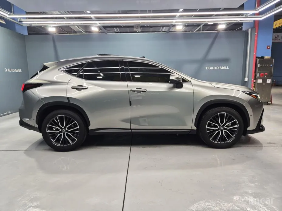 2022 Lexus NX
