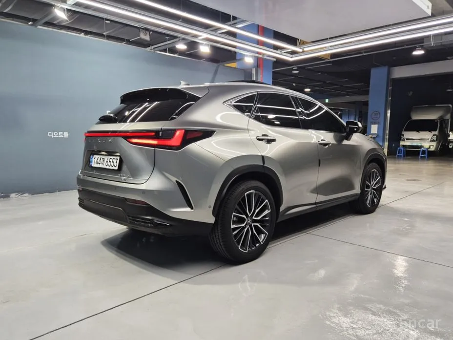 2022 Lexus NX