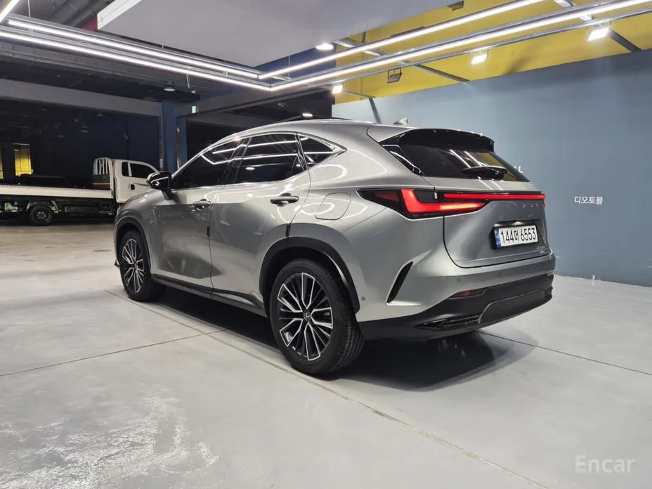 Lexus NX 2022 Luxury