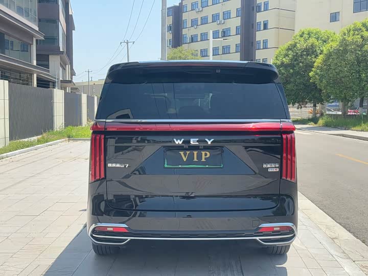 Wey Gaoshan 2025 2025款 四驱高山7