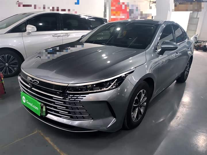 2024 BYD Destroyer 05