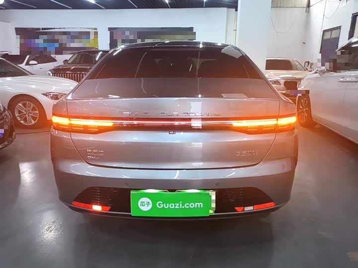 BYD Destroyer 05 2024 2024款 荣耀版 DM-i 55KM 豪华型