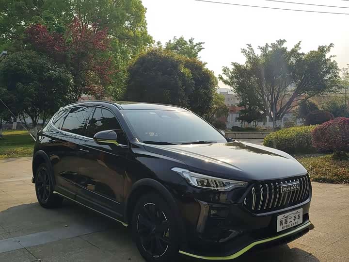 Haval Chitu 2022 2022款 1.5L DHT王者兔