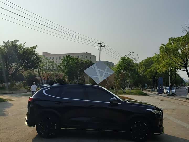 Haval Chitu 2022 2022款 1.5L DHT王者兔