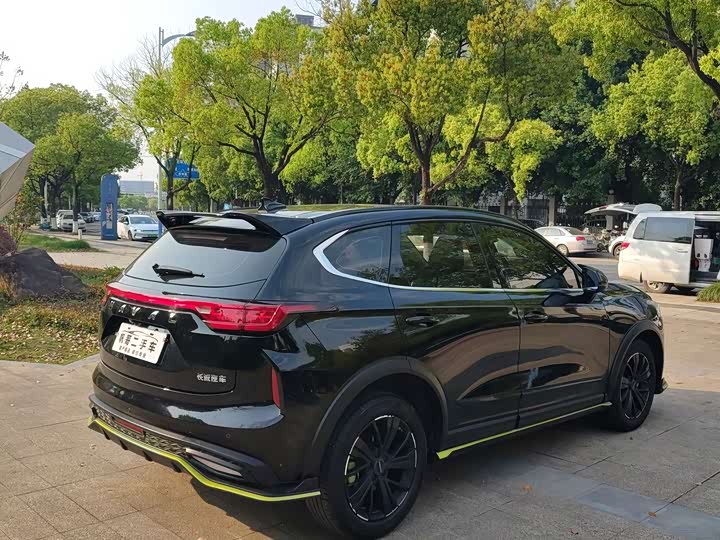 Haval Chitu 2022 2022款 1.5L DHT王者兔