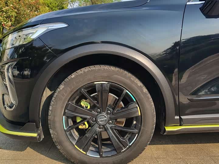 Haval Chitu 2022 2022款 1.5L DHT王者兔