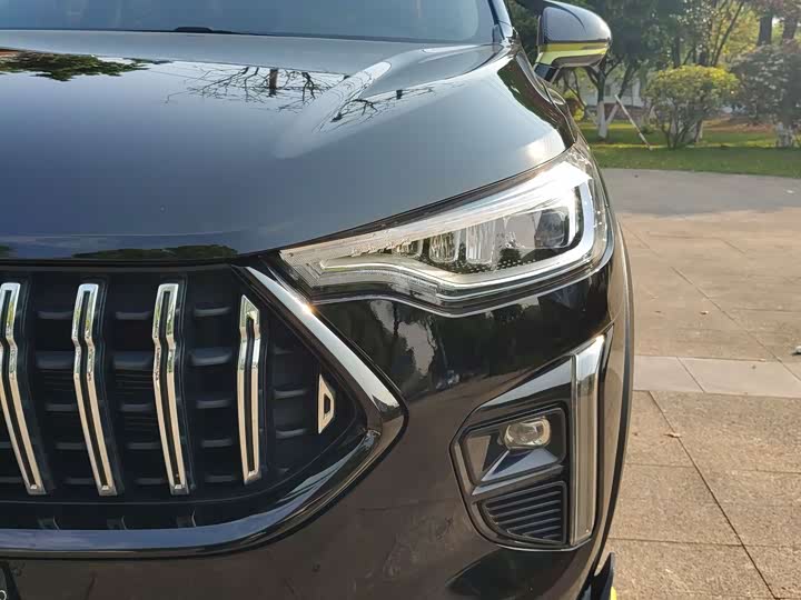 Haval Chitu 2022 2022款 1.5L DHT王者兔