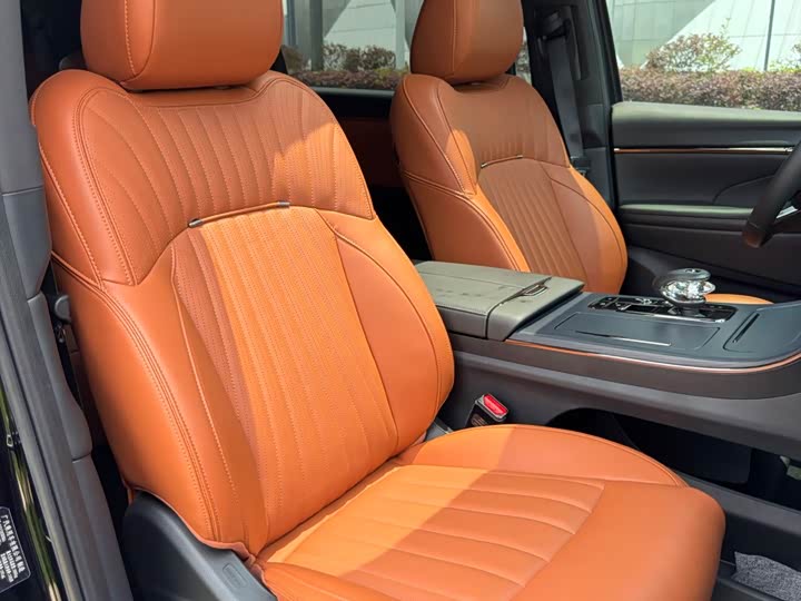 GAC Trumpchi E9 2024 2024款 E9 尊享版
