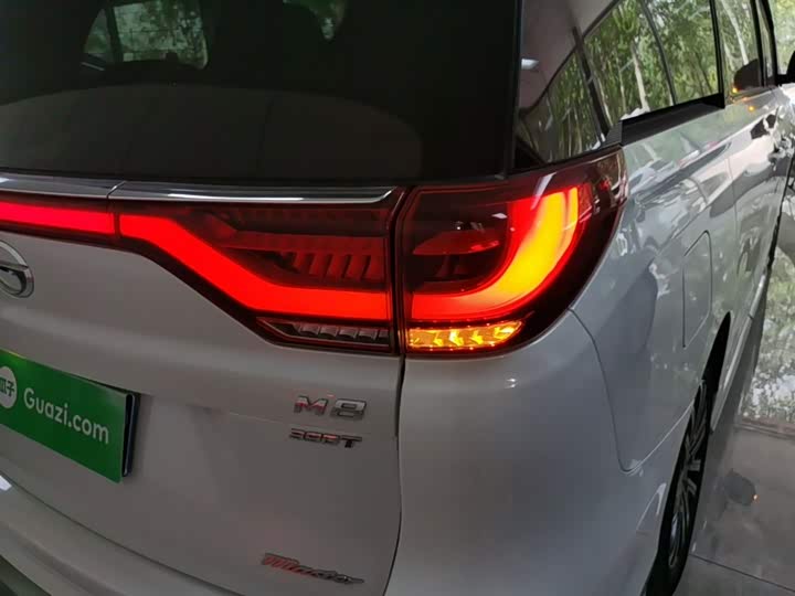 GAC Trumpchi M8 2021 2021款 大师系列 390T 尊贵版