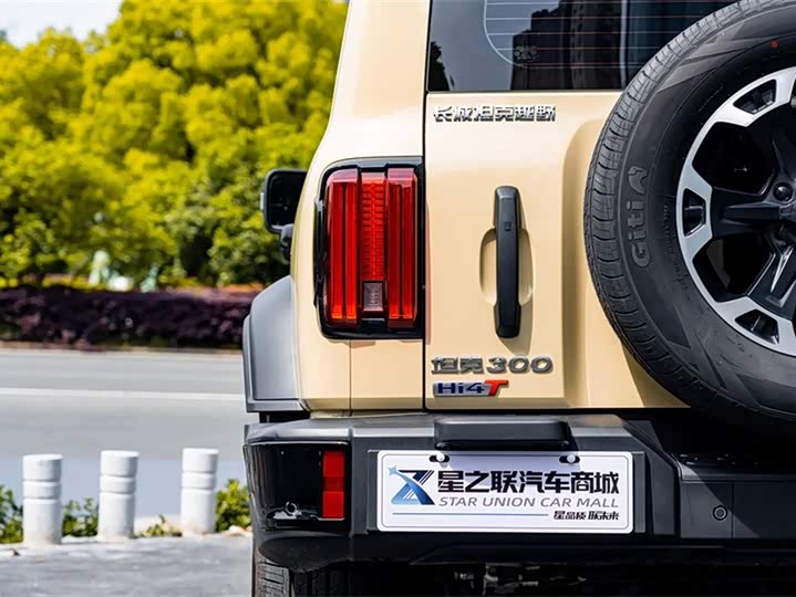 Tank 300 Hybrid 2025 2025款 Hi4-T 37.1kWh