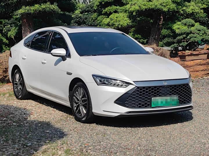 BYD Qin Plus 2021 2021款 DM-i 55KM 旗舰型