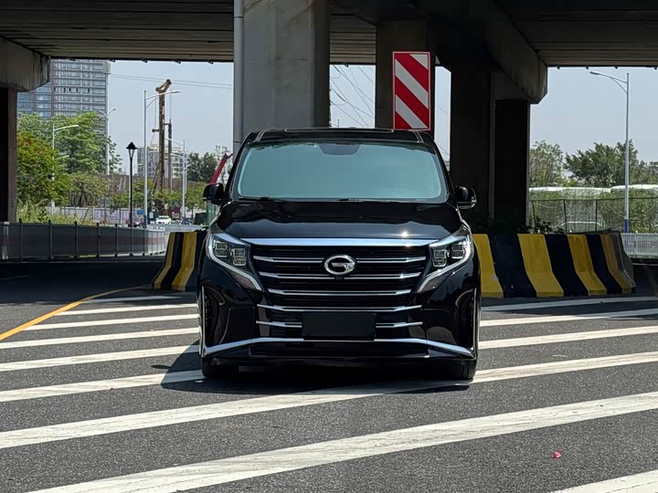 GAC Trumpchi M8 2021 2021款 领秀系列 390T 尊贵版
