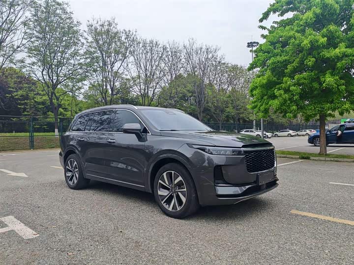 2021 LiXiang One