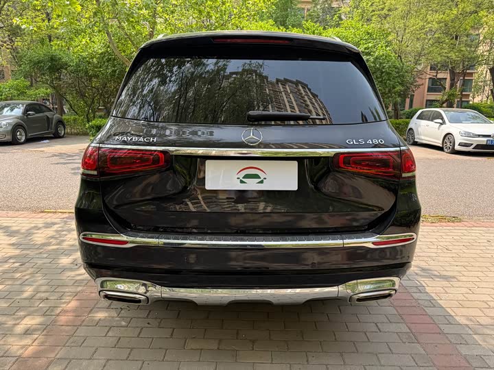 Фото 4 - Mercedes-Benz Maybach GLS