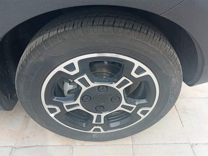 Geely Galaxy Panda Mini 2025 2025款 210km 熊猫骑士