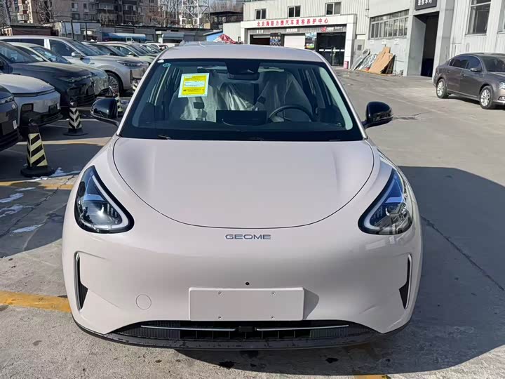 Geely Galaxy Geome 2026 2026款 310km 青春版