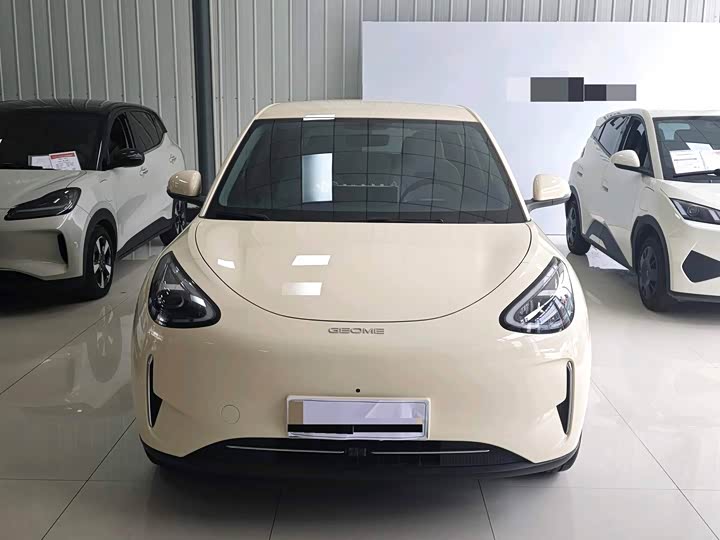 Фото 2 - Geely Galaxy Geome