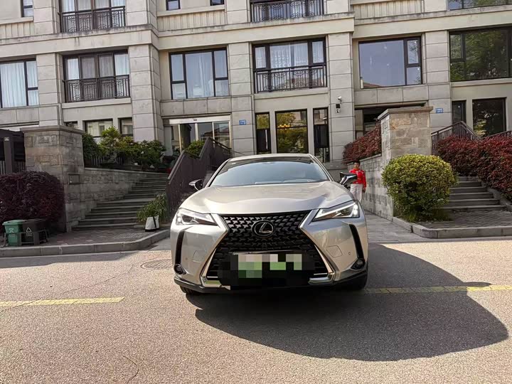 Lexus UX Hybrid 2020 2020款 300e 纯·悦版