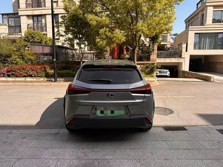 Lexus UX Hybrid 2020 2020款 300e 纯·悦版