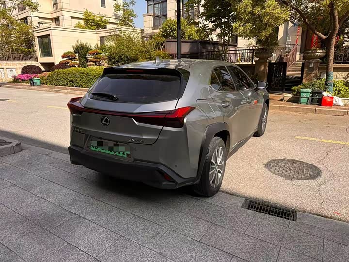 Lexus UX Hybrid 2020 2020款 300e 纯·悦版